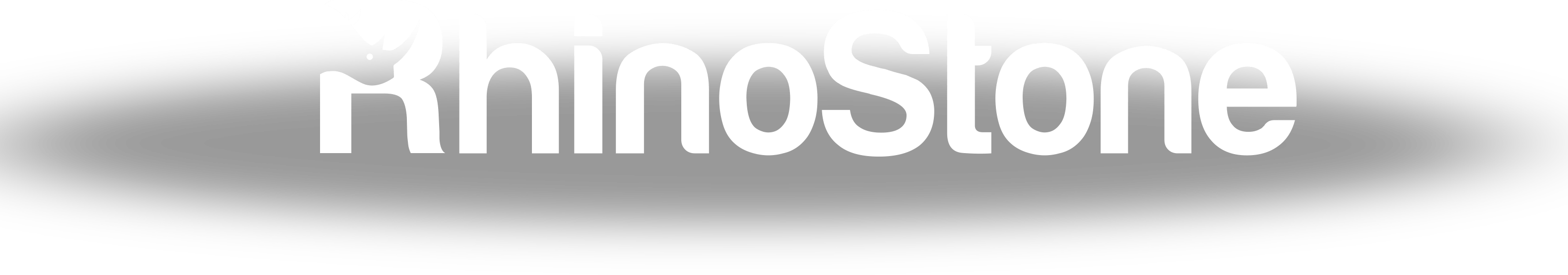 Logo Rhinostone
